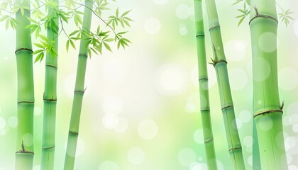 Bamboo stalks against soft green background