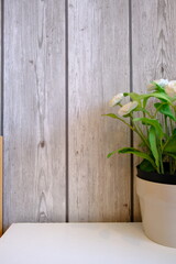 top view shot of a pink and green theme with pink flowers wallpaper with text space for your message, love, soft, feminine and romantic concept