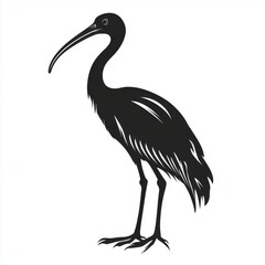 Fototapeta premium Elegant black ibis standing gracefully in nature's habitat detailed illustration artistic environment side view