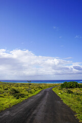 Roads of Rapa Nui, Easter Island Chile