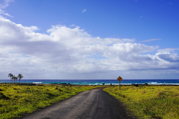 Roads of Rapa Nui, Easter Island Chile
