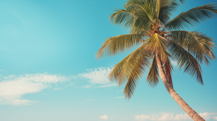 Coconut palm tree under blue sky . Vintage style. Tropical background