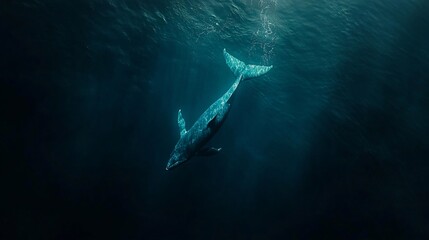 Majestic Whale Gliding Through the Deep Blue Ocean with its Calf Swimming Alongside