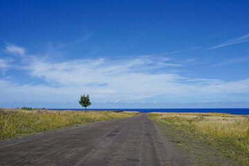 Roads of Rapa Nui, Easter Island Chile