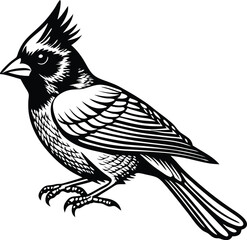  Cardinal flying bird isolated on vector art illustration