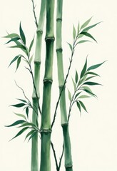 Watercolor Illustration of Green Bamboo Stalks and Leaves