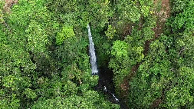 waterfall in the middle of the Sumatran forest
