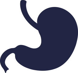 Illustration of Human Internal Stomach Anatomy. Stomach vector art with white background