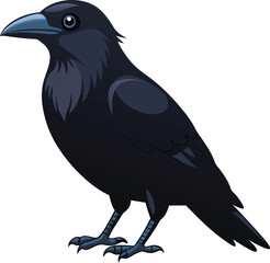 Fototapeta premium Side view of a Carrion Crow, Corvus corone, isolate