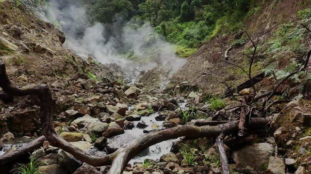 hot spring source from the planet earth inside in the centre of the tropical forest in sumatra