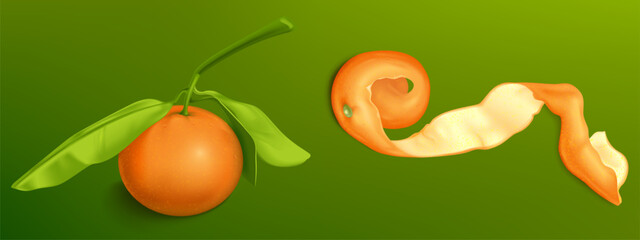 Orange whole fruit with fresh leaves and curled spiral peel on green background. Realistic 3d citrus skin texture with smooth outer and white inner surface. Natural organic food illustration.
