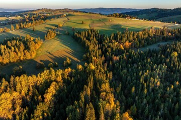 Łapszanka: Widok z drona o poranku jesienią na Podhale, Tatry i lasy w pobliżu przełęczy © Michal45