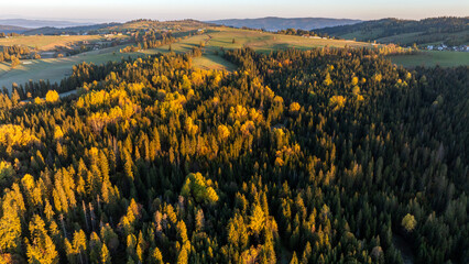 Łapszanka: Widok z drona o poranku jesienią na Podhale, Tatry i lasy w pobliżu przełęczy © Michal45
