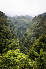 Obraz premium big beautiful waterfall in bali among greenery in jungle on summer day as background for travel