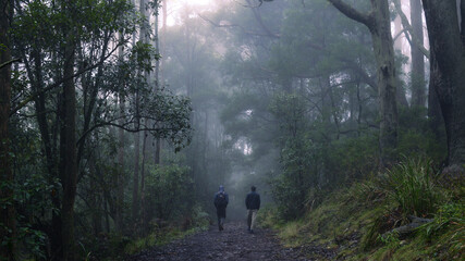 Two friends hiking in a misty forest