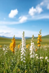 Floral Fieldscape Vibrant Wildflower Meadow Under Blue Sky - Eco-Friendly Visuals for Environmental Campaigns and Sustainable Brand Narratives
