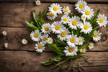 Obraz premium Fresh spring daisy flower on rustic wood. 