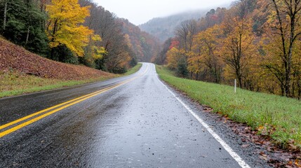 Fototapeta premium Rainy autumn road through colorful mountain valley