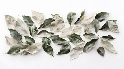 10. A pattern of green and dry leaves in a balanced composition on a white surface