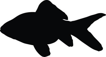Gold Fish Silhouette