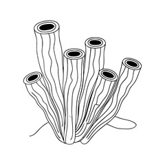 Coral Reef Vector. Line Art Marine Life and Underwater Organism Symbol Design