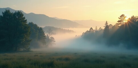 Naklejka premium Gentle morning fog rolling in over a still forest, forest, calm, trees