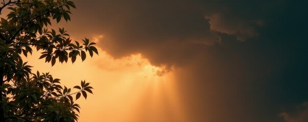 Obraz premium Dark brown stormy sky with beige clouds and rain dripping from branches, summer, thunderstorm