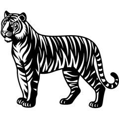 Obraz premium Tiger silhouette on white background