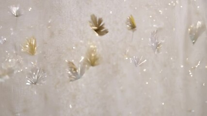 Ambient video across a tranquil scene where confetti shaped like feathers gently floats against a soft, textured fabric backdrop with a gentle sway - Powered by Adobe