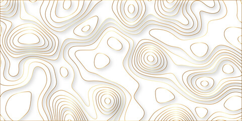 paper cut 3d render topography abstract, beautiful white Background. geometric map relief texture with curved layers and shadow. Realistic papercut decoration textured with wavy vector design.