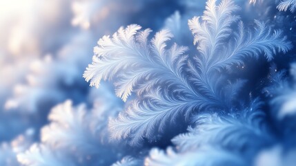 Delicate Ice Crystals Form Intricate Winter Patterns