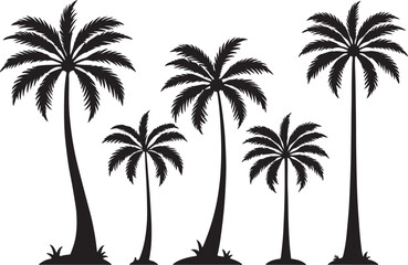Obraz premium Palm tree vector silhouette.