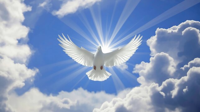 White dove in majestic flight against radiant blue sky and sunlit clouds symbolizes the Holy Spirit, Pentecost and peace.