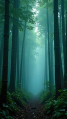 Dark forest floor with tall bamboo in front of misty fog, trees, serene
