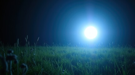 Bright sunlight bursts through the green summer grass