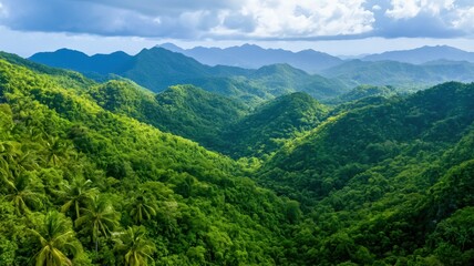 Obraz premium A lush green valley surrounded by mountains under a partly cloudy sky, showcasing the beauty of nature.