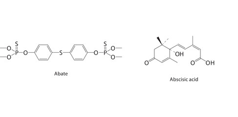 Abscisic acid skeletal structure.Plant Hormone compound schematic illustration. Simple diagram, chemical structure.