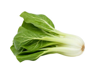 cabbage isolated on white