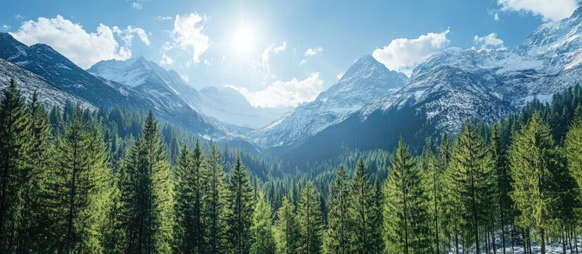 Lush green forest in the foreground with snowy mountain peaks under a clear blue sky and bright sun creating an ideal winter travel background