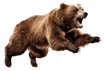 Fototapeta premium Full body brown bear attacking isolated on transparent background. Generative ai