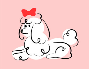 White poodle with a bow lying down. Cute hand drawn illustration for decoration