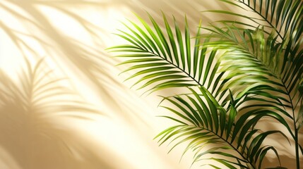 Obraz premium Sunlight filters through palm leaves casting shadows on a beige wall; tropical plant, interior design