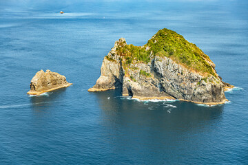 Obraz premium Motukumara Rock, Whangamumu Coast, North Island, New Zealand, Oceania.
