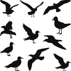 Seagull Silhouettes Bird Clipart, Seagull Silhouettes and Drawings Illustration