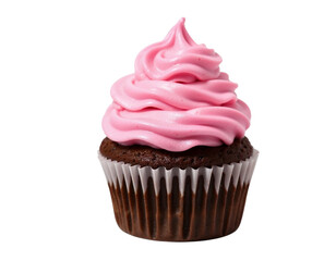 chocolate cupcake isolated on white