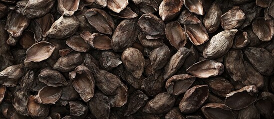 Dark brown cacao shells and cocoa bean husks arranged in a textured pattern create a rich, earthy backdrop for natural and organic themes.