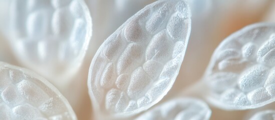 Closeup of intricate white rice grains under a microscope showcasing textures and structures with soft focus background in light tones
