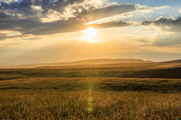 Yellow grassland and beautiful sky clouds nature landscape at sunset. Autumn landscape.