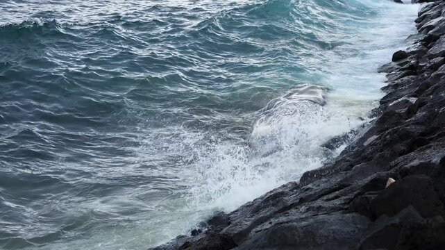 Dead sperm whale being smashed against coastal revetment at S&atilde;o Roque, telephoto