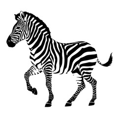 Detailed Zebra Vector Illustration in Striking Black and White